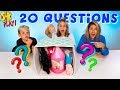 20 Questions What's in the MYSTERY BOX?! Bro vs Sis vs Sis SuperHero Kids Challenges!
