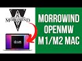 Morrowind is native ARM on Mac! OpenMW Apple Silicon M1/M2 macOS tutorial