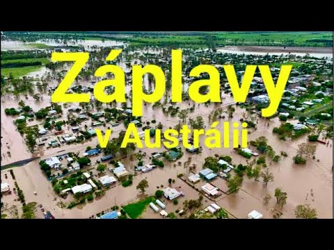 Video: Štúdia Zisťuje, že Divoké Mačky Teraz Pokrývajú Takmer 100% Austrálie