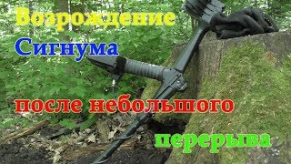 Возрождение сигнума