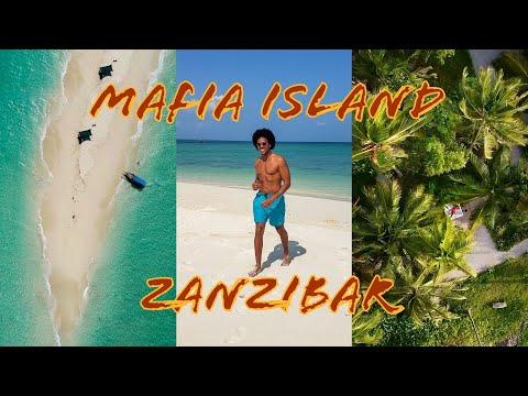 Untouched Paradise: Dive into the Beauty of Mafia Island & Zanzibar