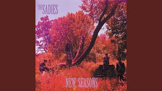 Video thumbnail of "The Sadies - What's Left Behind"
