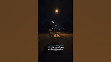 (وَأَمَّا مَنۡ خَافَ مَقَامَ رَبِّهِۦ وَنَهَى ٱلنَّفۡسَ عَنِ ٱلۡهَوَىٰ)[سورة النازعات] |اسلام صبحي 💆
