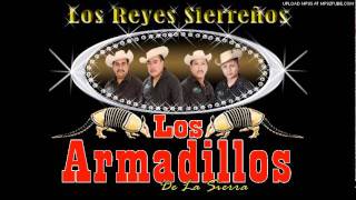 Video thumbnail of "Los Armadillos De La Sierra******EL CORRIDO DE DON CHUY****"