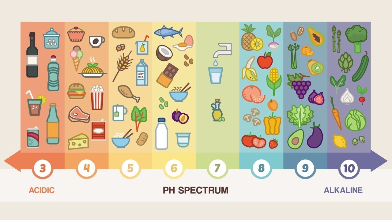 Щелочная пища. Щелочные продукты. PH продуктов. Кислотные и щелочные продукты. Таблица щелочных и кислотных продуктов питания.