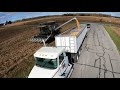 Chasing a 2015 Gleaner S78 Into the Woods - Corn Harvesting - Fulton County - Ohio - Harvest 2020 5K