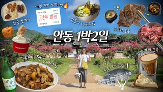 여름 안동 여행 완벽하게 즐기는법✨물놀이 핫스팟, 소갈비골목, 안동찜닭 현지인맛집, 월영야행, 웨이팅없는 여행꿀팁 대방출💥