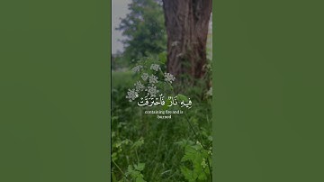 ماهر المعيقلي #quran #المصحف #تلاوة_هادئة #راحة_نفسية #القرآن_الكريم #القرآن #قرآن #ماهر_المعيقلي