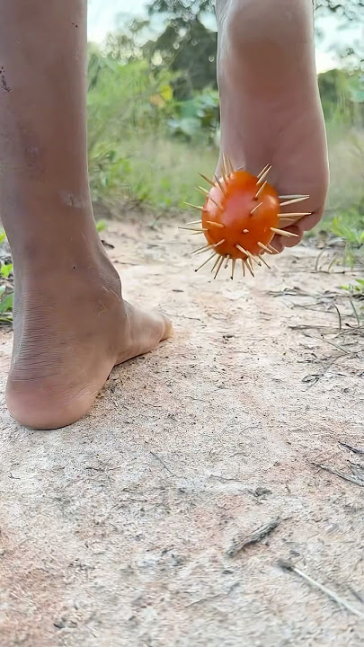 Keterampilan Bertahan Hidup: Ide CERDAS dan BER …