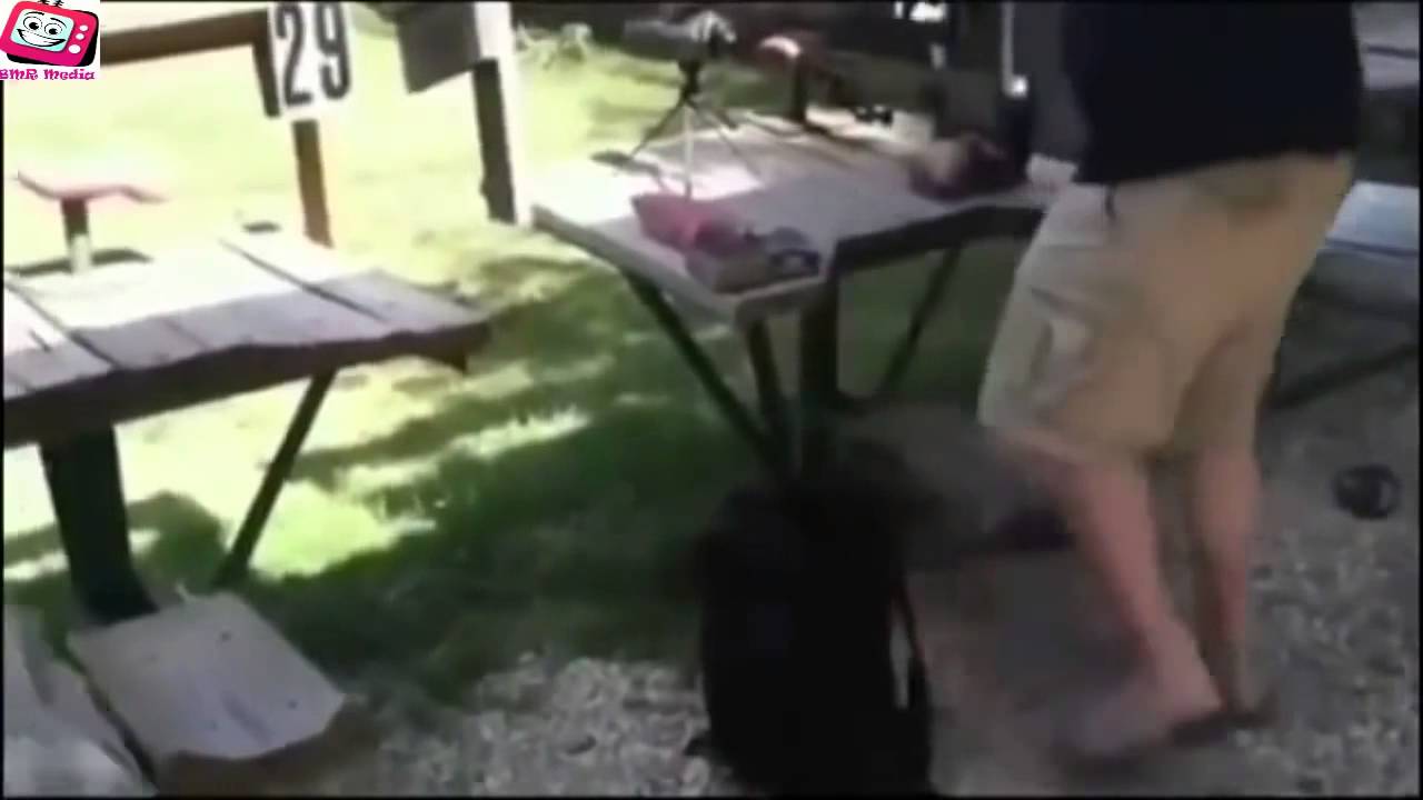 ���� ���������� ����� - 9