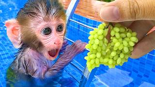 Download Lagu Bebé Mono BonBon Cosecha Huevos de Oro y Hace Pastel Arcoíris en Casa - MONO BONBON ESP MP3