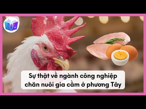 Sự thật về