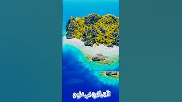 سورة التوبة و،،كا.،نك تسمعها لأ،،و.؛ل مر.ة💚💮..💟🌸🌻💙؛؛💞بصوت الشيخ حمزة مدبو.ح 💞🌷،،💖❣️؛،❤️💚🧡