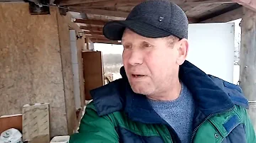 Содержание коров и овец.