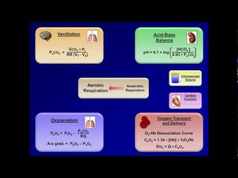 Using the ABG to Create a Unified Model of Human Pathophysiology (ABG Interpretation - Lesson 20)