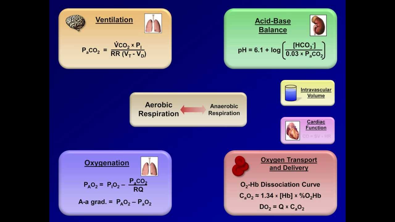 Using the ABG to Create a Unified Model of Human Pathophysiology ABG Using the ABG to Create a Unified Model of Human Pathophysiology ABG