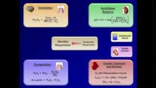 Using the ABG to Create a Unified Model of Human Pathophysiology (ABG Interpretation - Lesson 20)