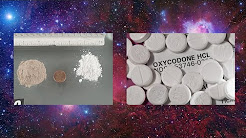 Differences Between Opioids And Opiates