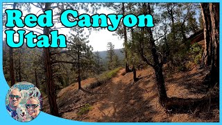 4k Virtual Hike - Red Canyon, Utah - Birds Eye View Hike
