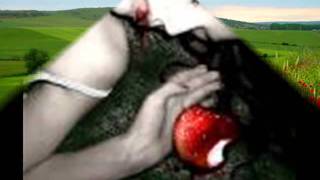 Cosa Si Può Dire Di Te - Cover - Milo Fontana.wmv