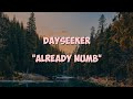 DAYSEEKER _ Already Numb | Lirik Terjemahan #ruanglirik #liriklagu #dayseeker