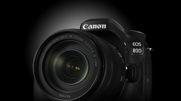 How to Repair Canon 80D "Error 30" Shutter blade Replace