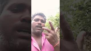 पूछ तारी पेड़वा पतईया #nirgun #youtubeshorts #trending #dinesh#sahni