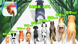 DOG EVOLUTION 3D - Level Up 'Animals Evolution' - Satisfying Mobile Game - Gameplay#1