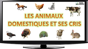 Quels sont les animaux domestiques ?