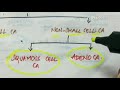 lung cancer | pathology | handwritten notes