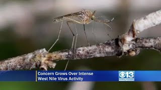 1 p.m. CBS13 Update 7/20/18