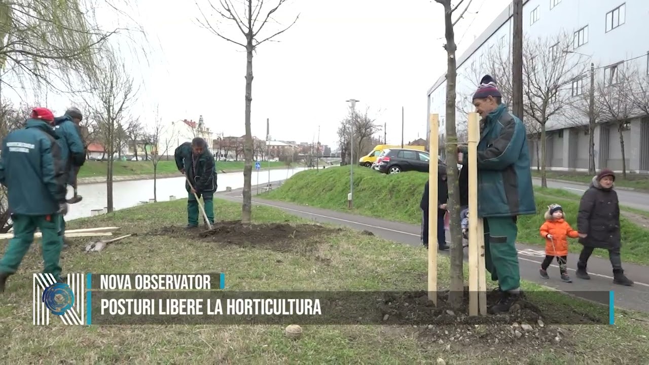 Posturi libere la Horticultura Posturi libere la Horticultura