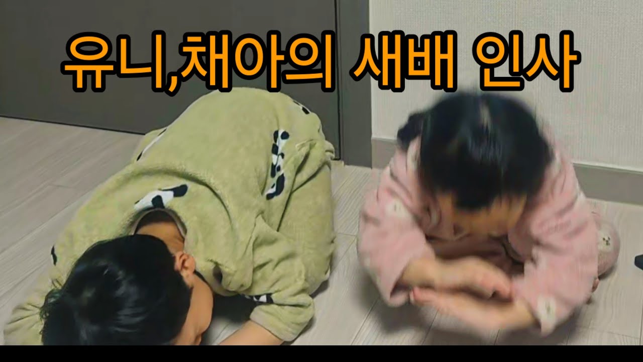 채아,유니의 설날#행복#슈키의공방 #힐링#오누이#명절#2602