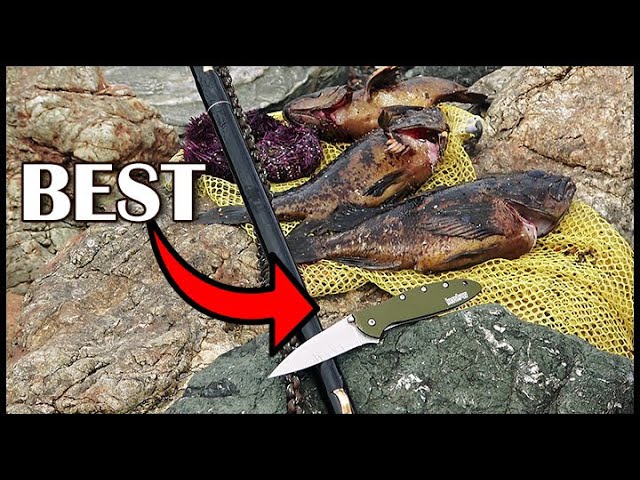 Poke Pole Fishing: HUGE 5lb Monkeyface Prickleback Eel! 