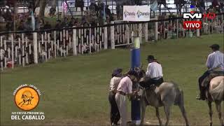 BRAIAN GOMEZ - BROCHE DE ORO - FIESTA DEL CABALLO URDINARRAIN 2024