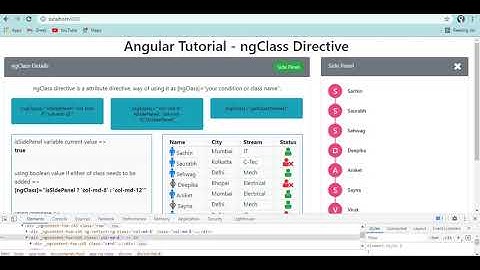 Angular Tutorial | Attribute Directive  | ngClass