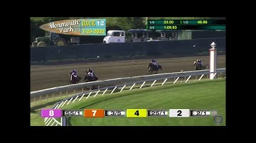 Cyberknife Wins TVG.com Haskell Stakes  at Monmouth Park. (sorry no sound)