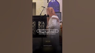 سورة النساء _ بصوت رعد الكردي 2016