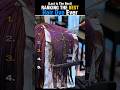 Ranking The Best Hair Dye Trend #shorts #hairdye #transformation #hairmoments