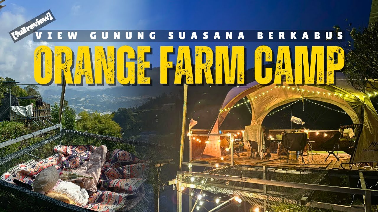 Petik buah dalam cuaca sejuk berkabus | Cameron Highland