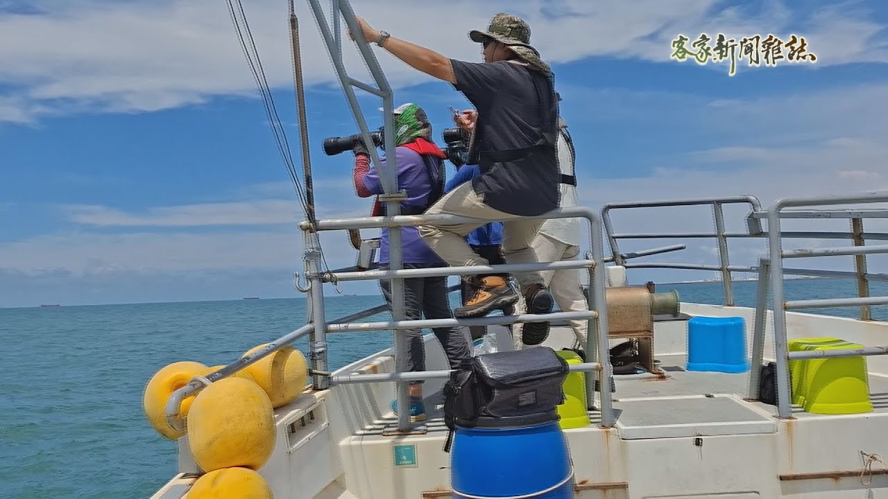 《海上邂逅 白海豚》客家新聞雜誌第981集