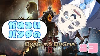 【初見プレイ！】がめついパンダのドラゴンズドグマ2  3ｶﾈｯ目【DRAGON'S DOGUMA2/ドラゴンズドグマ2】