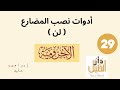 أدوات نصب المضارع لن أدوات نصب المضارع لن