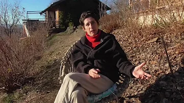 Cosa piantare vicino aglio?