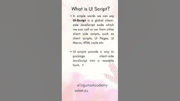 What is UI Script in ServiceNow?