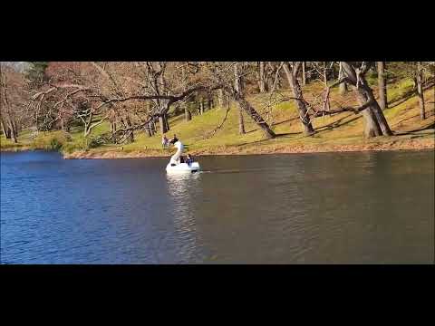 Willow Lake. #lake #travel #nature #universal #travel #usa #viral #video