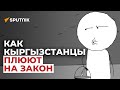 Как кыргызстанцы плюют на закон. Мультик Sputnik