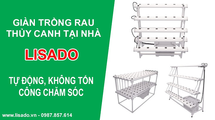 Site https www.lisado.vn dung dịch thủy canh là gì năm 2024