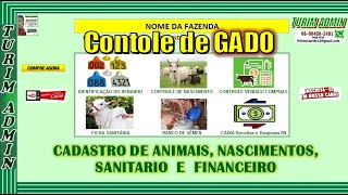 PLANILHA CONTROLE DE GADO, CADASTROS NASCIMENTOS, CAIXA, COMPRAS, VENDAS E FICHA SANITÁRIA R$ 120,00 screenshot 1