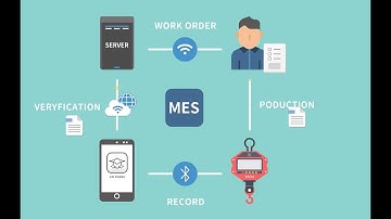 MES WEIGHING SYSTEM FROM TAIWAN-Crane scale Weighing indicator Weighing Scale Weighing Solution